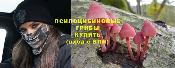 мескалин Бронницы