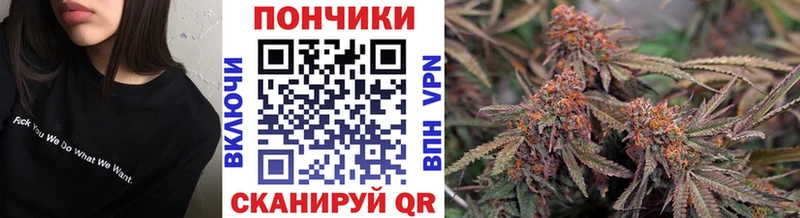 Конопля марихуана  ОМГ ОМГ ТОР  Курильск  как найти закладки 
